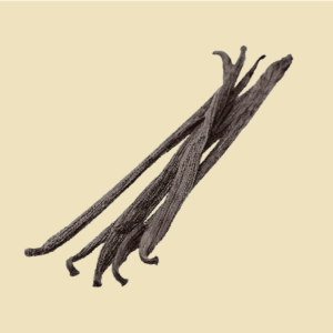 5-gousses-vanille-bourbon-gourmet